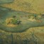 When to go to Okavango Delta