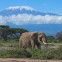 When to go to Mount Kilimanjaro