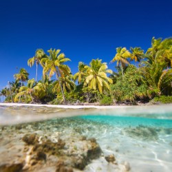 When to go to Tahiti