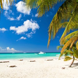 When to go to the Bahamas